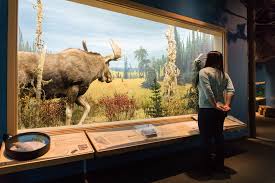 Royal Alberta Museum