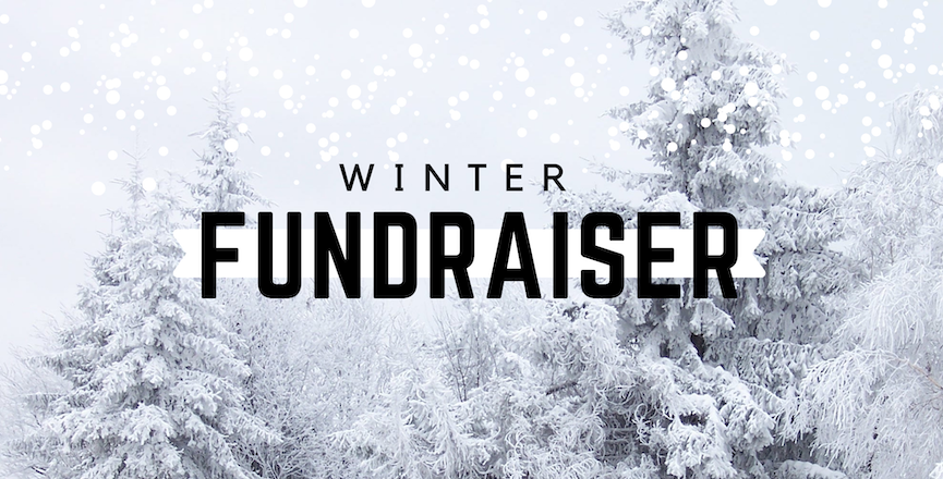 winterfundraiser (3)