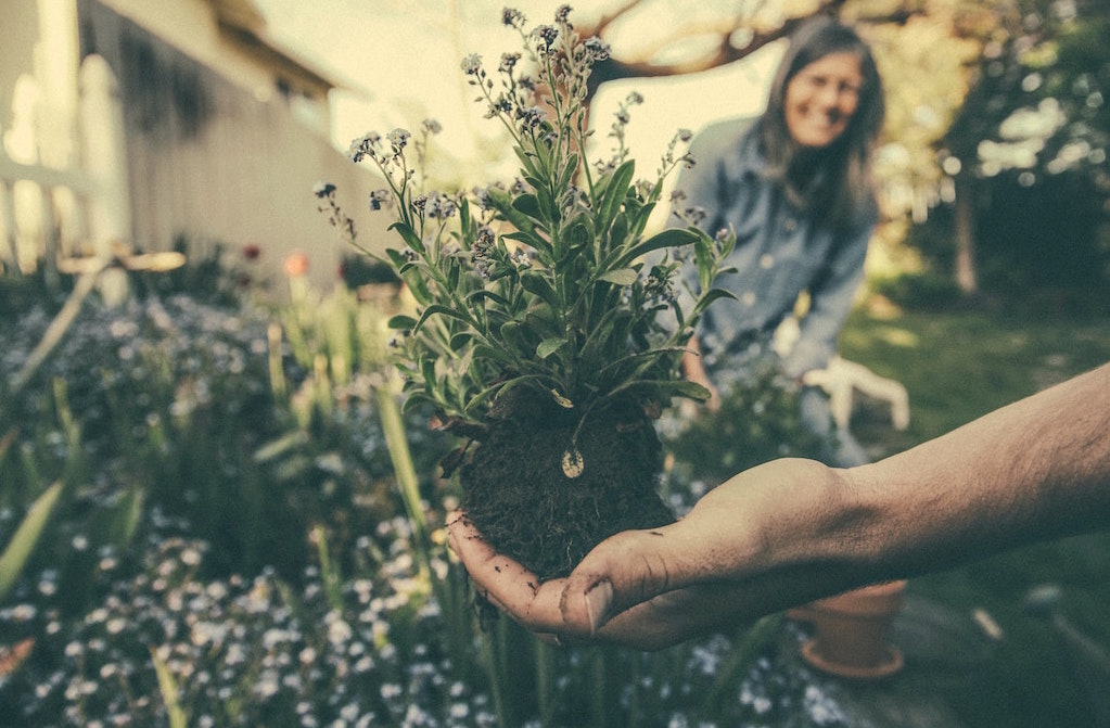 Person holding plant. Image credit: Benjamin Combs/Unsplash