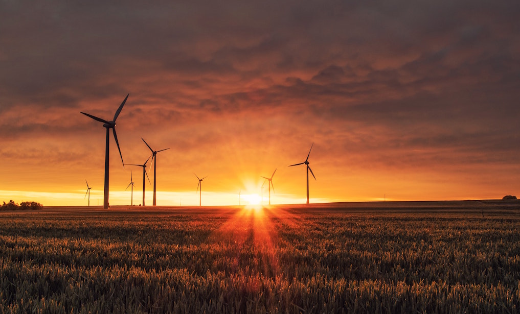 Wind turbines in field at sunset. Image credit: Karsten Würth/Unsplash