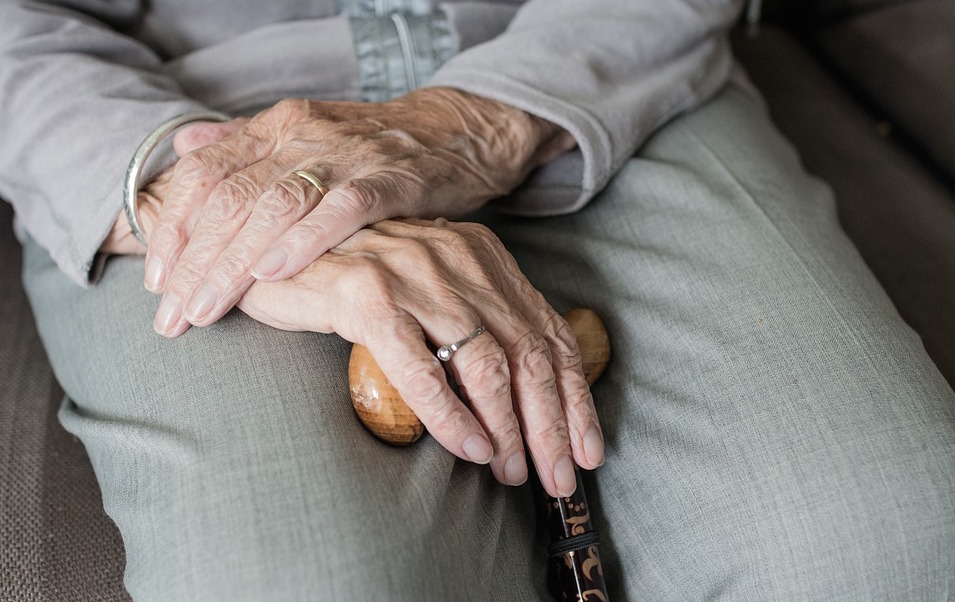 Adult hands. Image: sabinevanerp/Pixabay