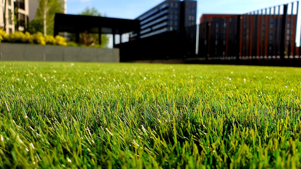 Close up of grassy lawn. Image credit: Petar Tonchev/Unsplash