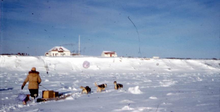 A Cree person and dog sled team on the Severn River, with the Fort Severn Hudson's Bay Company post in the distance, c. 1953. Image: Archives of Ontario/Flickr.