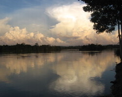 Xingu River by International Rivers 250