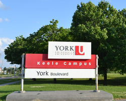 york-university-sign 250x200