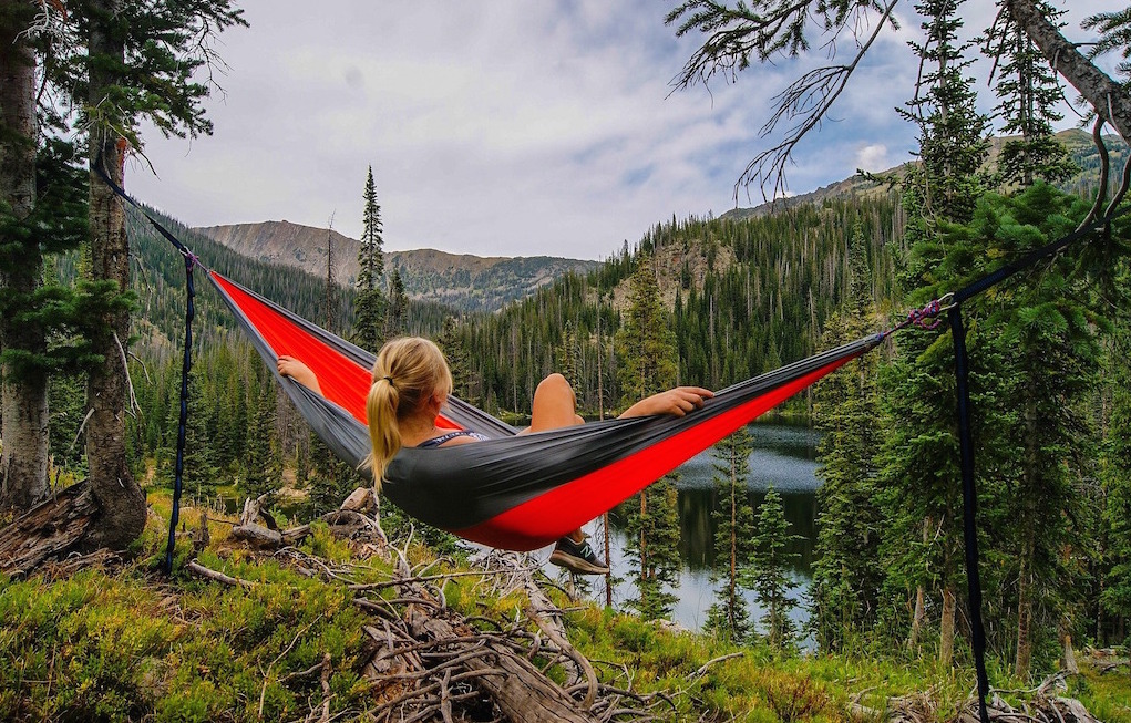 Person in hammock surrounded by trees. Image credit: Free-Photos/Pixabay