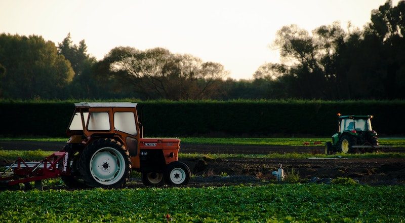 A tractor harvesting a crop in early morning. Image: Naseem Buras/Unsplash