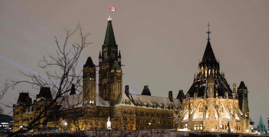 Parliament Hill. Image: Naveen Kumar/Unsplash