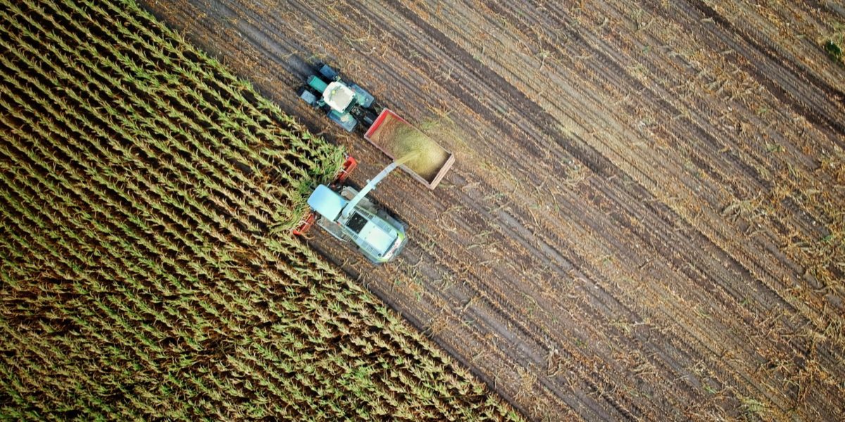 An aerial view of a crop being harvested. (Image: No one cares/Unsplash).