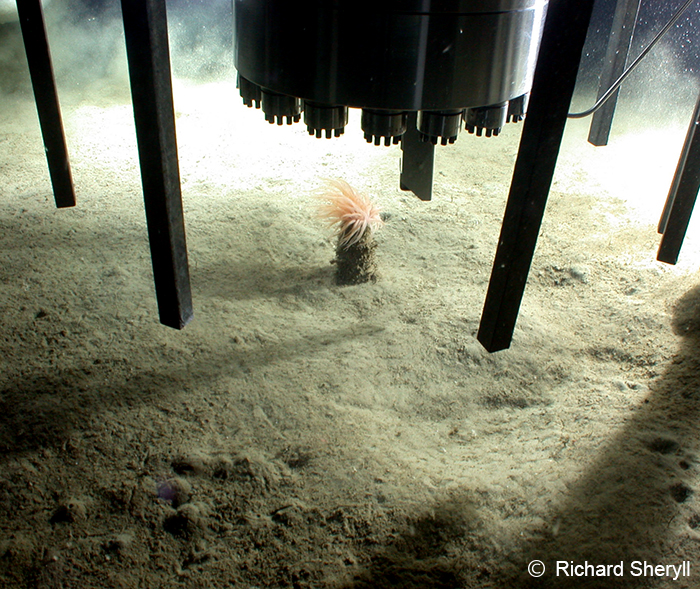 Photo of a deep seabed mining drill prospecting. photo by Richard Sheryll