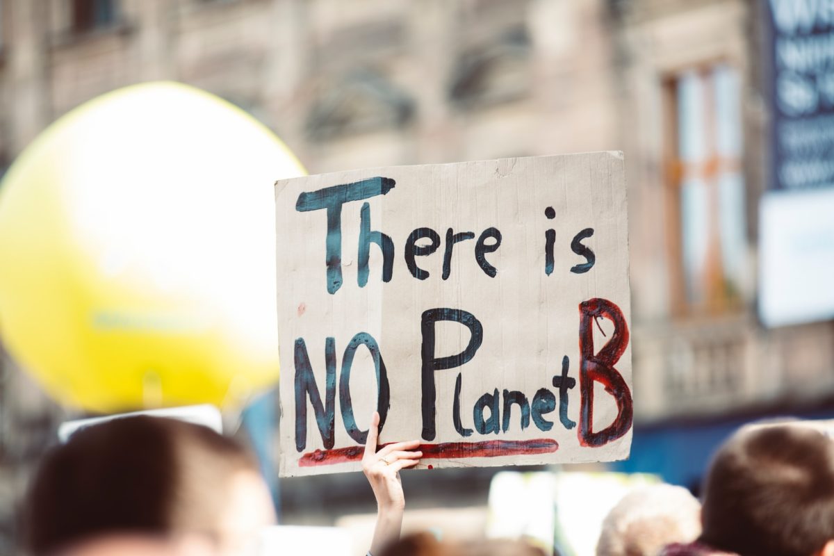 A person holding a sign at a protest. The sign reads "There is no Planet B."