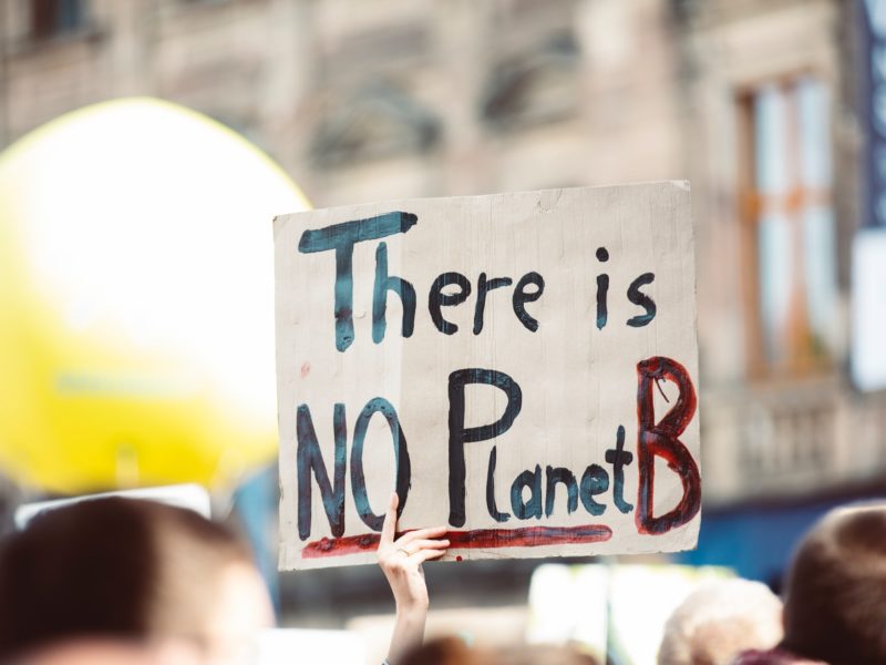 A person holding a sign at a protest. The sign reads "There is no Planet B."