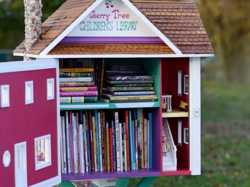 Photo of a Little Free Library