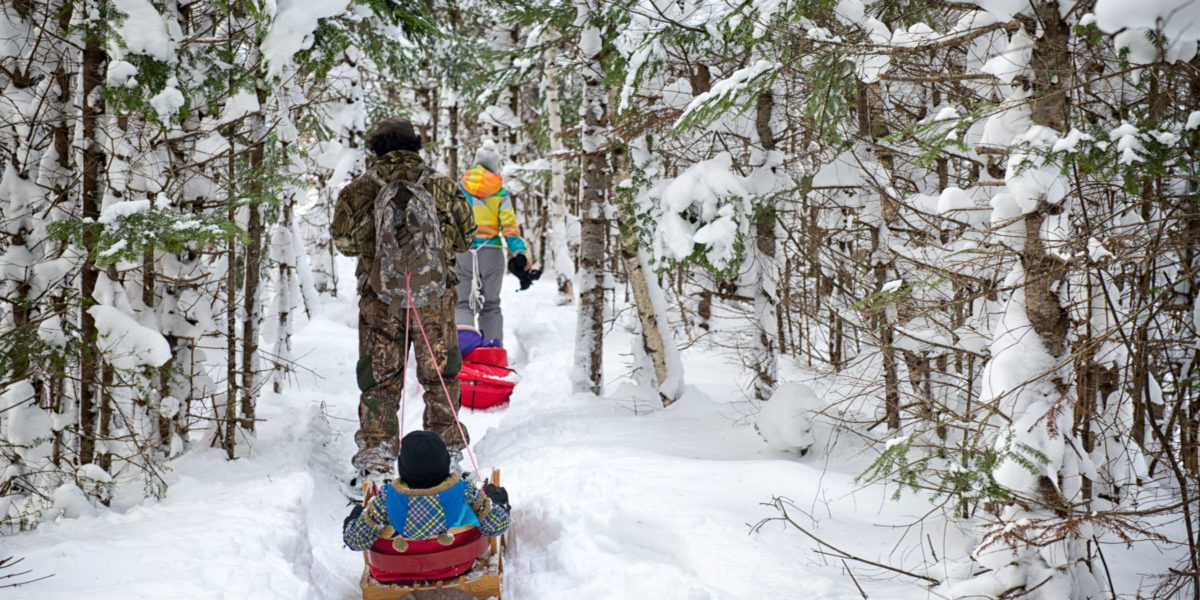 Adult pulls a child in a sled through a snowy forest.