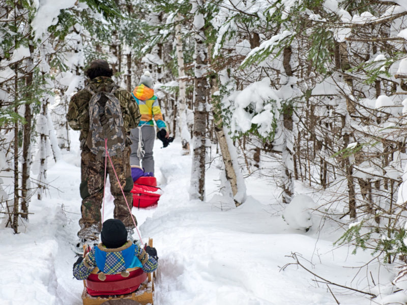 Adult pulls a child in a sled through a snowy forest.