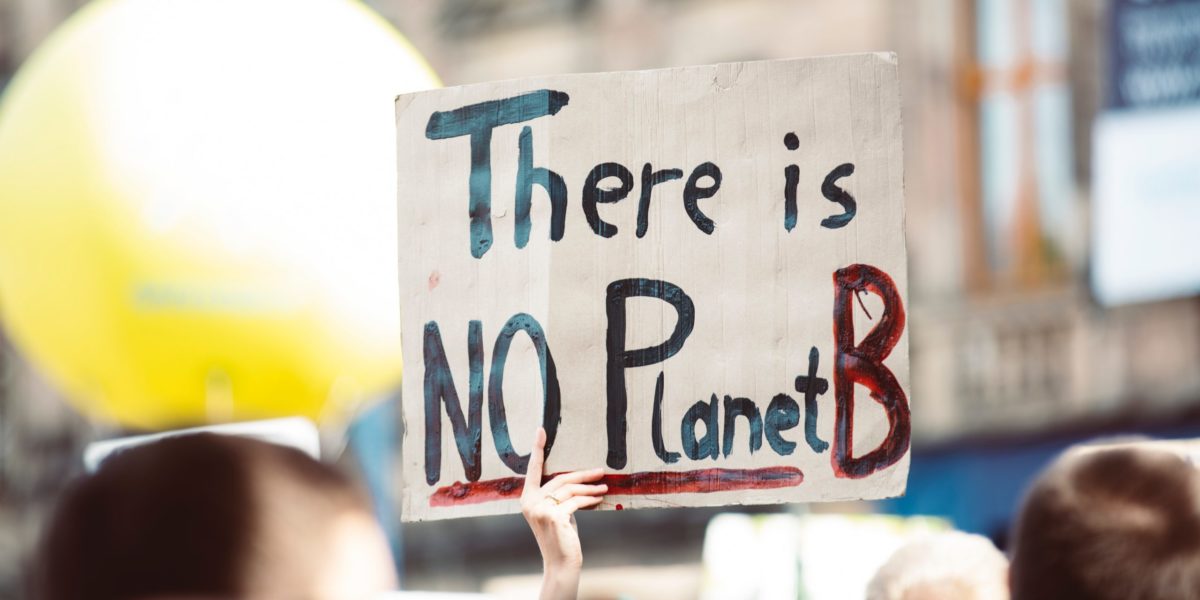 Photo of someone holding up a sign with the words "There is no planet B" at a protest