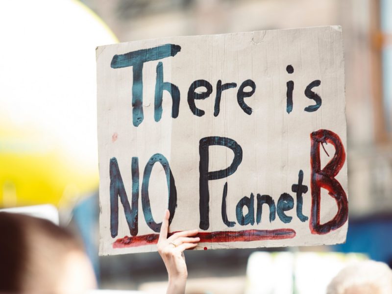 Photo of someone holding up a sign with the words "There is no planet B" at a protest