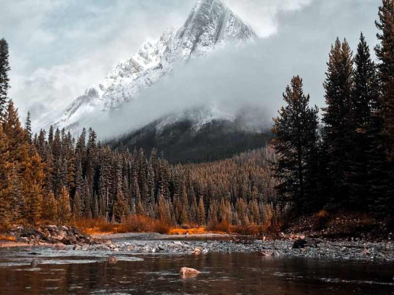 Photo of a river running through a mountain range and forest in Cone Mountain, Alberta.