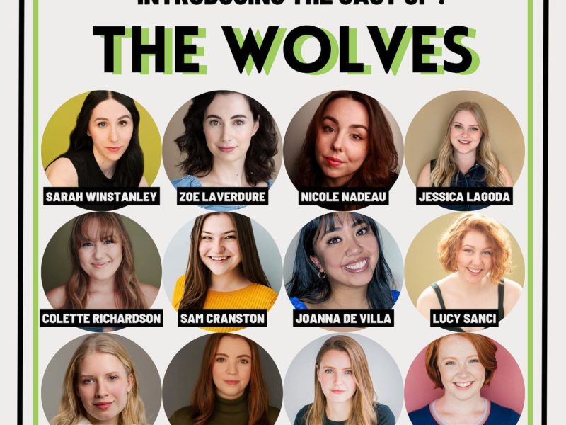 The Wolves Ensemble