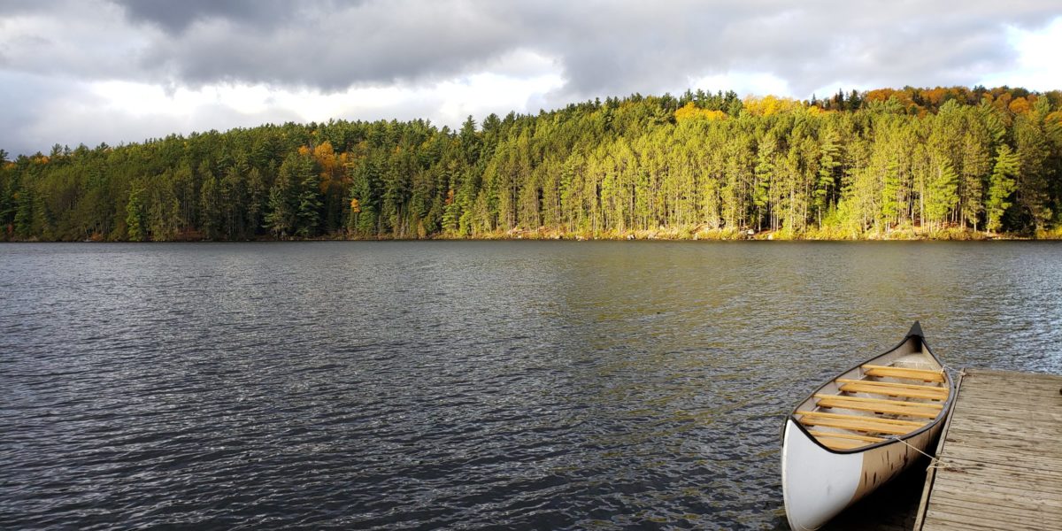 Photo of a white canoe in a lake stopped on a wooden dock. Dense forest in the background.