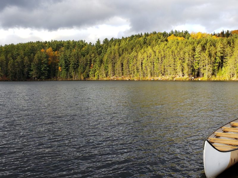 Photo of a white canoe in a lake stopped on a wooden dock. Dense forest in the background.