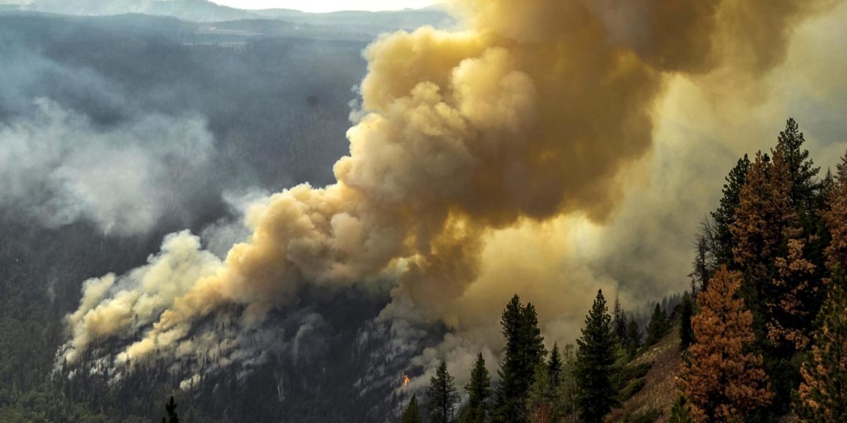 Photo of a forest fire taken in 2009.