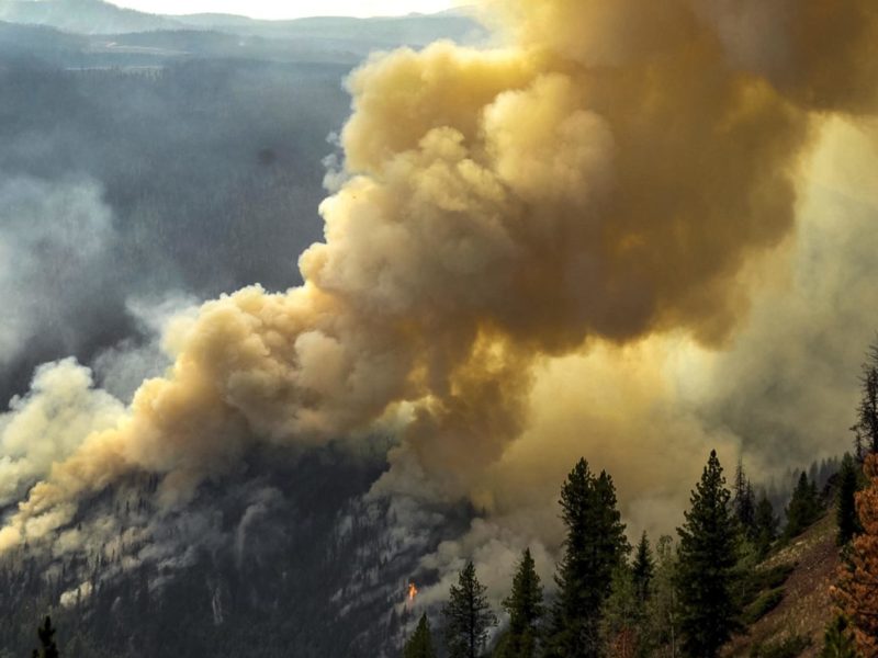 Photo of a forest fire taken in 2009.