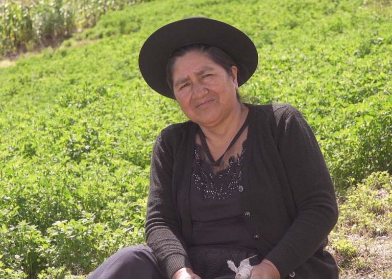 Photo of Victoria Saccsara survivor of forced sterilization in Peru sitting in a green field.