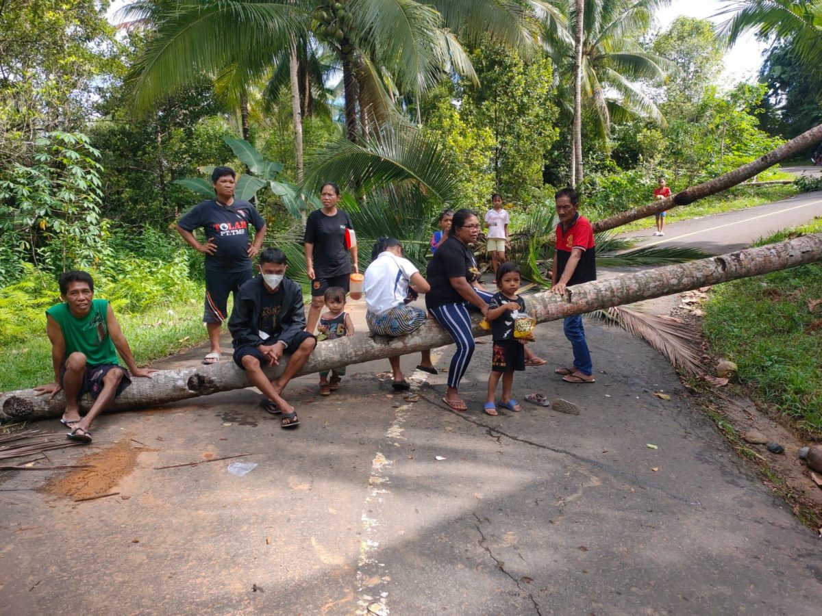 Sangihe Islanders blockade the road to the Baru Gold mine site sitting on felled palm trees that are across the road.