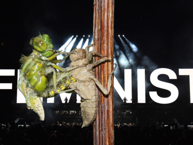 Photo of a dragonfly emerging from it's dead skin with the word feminist behind it.