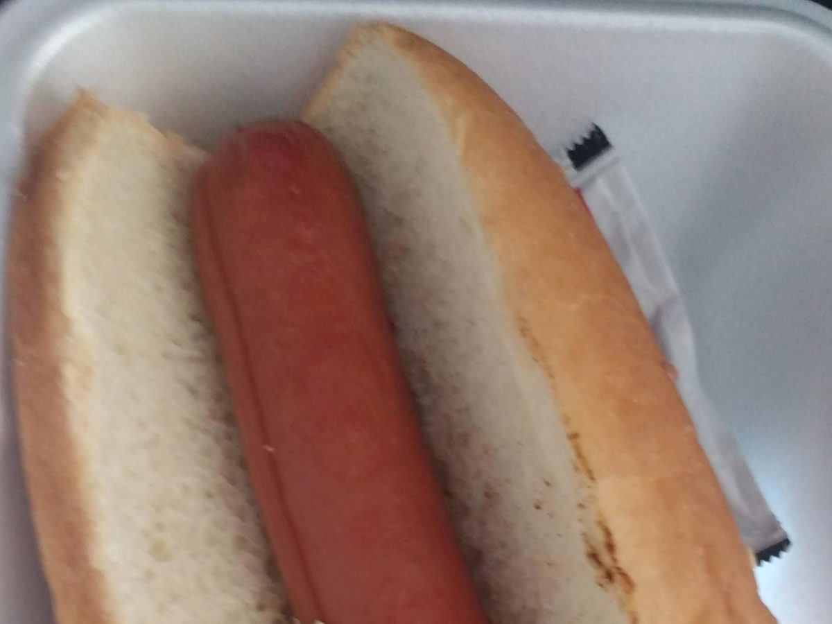 A photo of a City of Toronto provided hot dog.