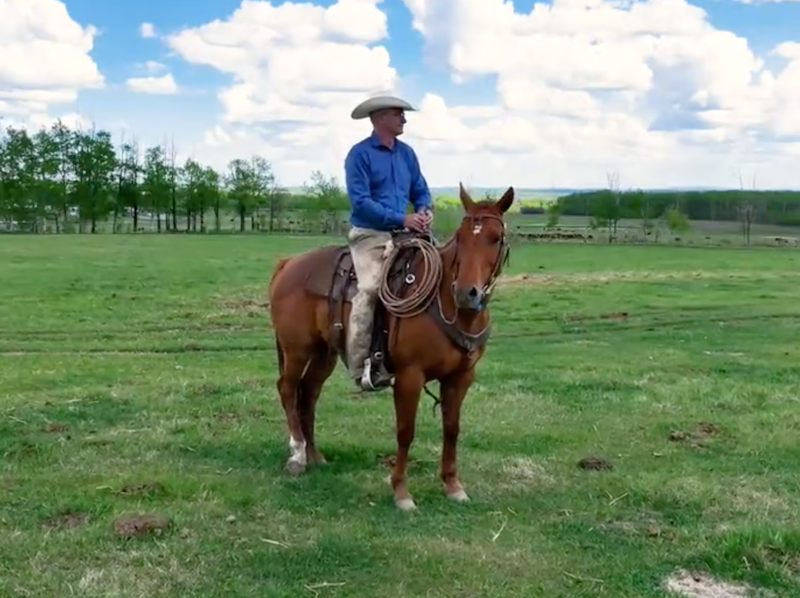 A screenshot of UCP official leadership candidate No. 1, Travis Toews, as has campaign wants you to see him.