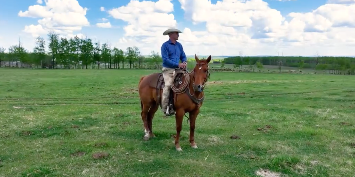 A screenshot of UCP official leadership candidate No. 1, Travis Toews, as has campaign wants you to see him.