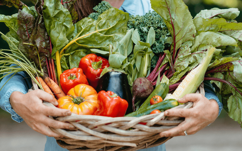 Photo of a basket of organic vegetables