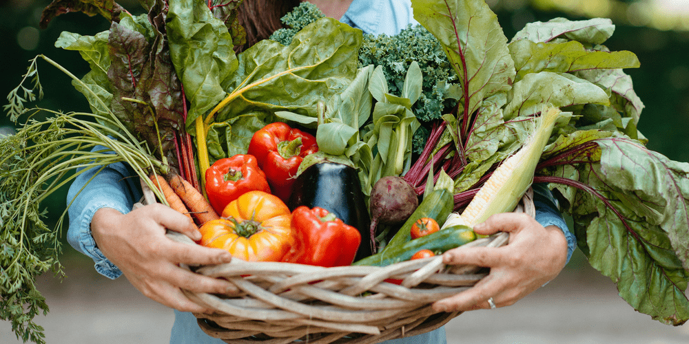 Photo of a basket of organic vegetables