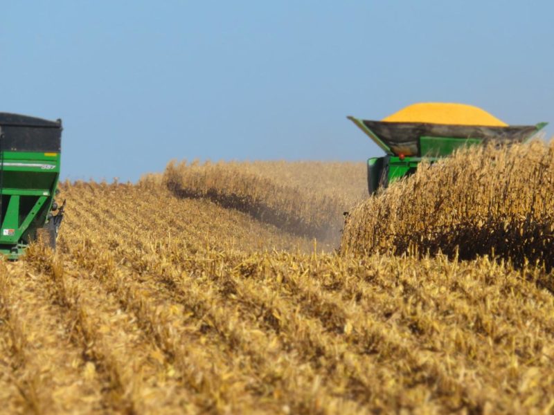 A photo of a combine harvester working in a field.