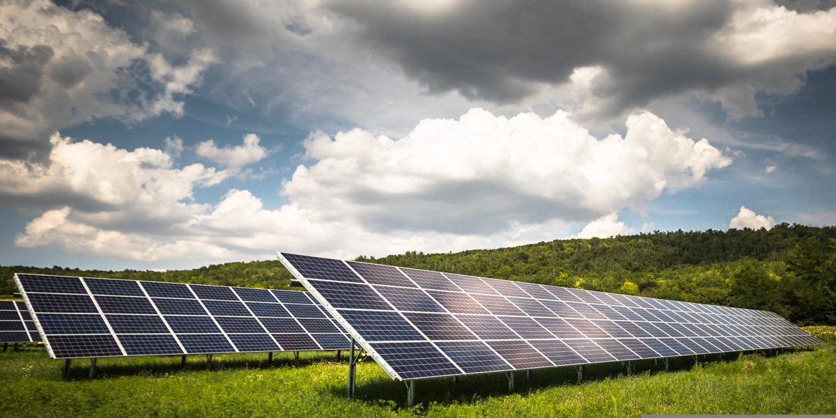 Photo of a solar farm.