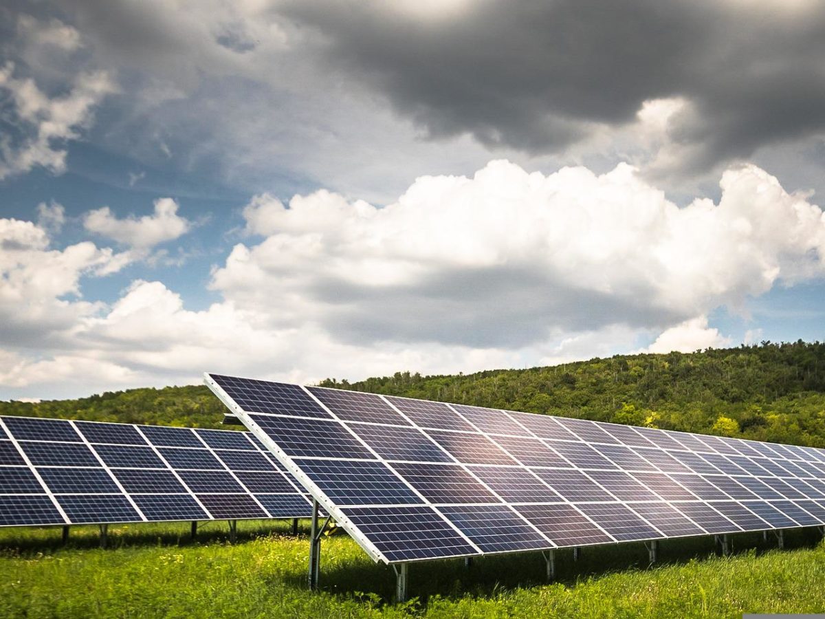 Photo of a solar farm.