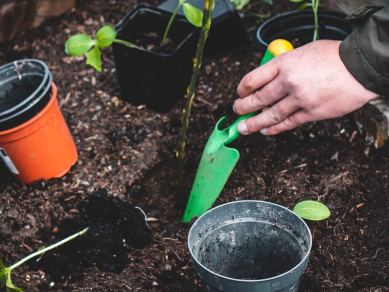 A photo of a person gardening.