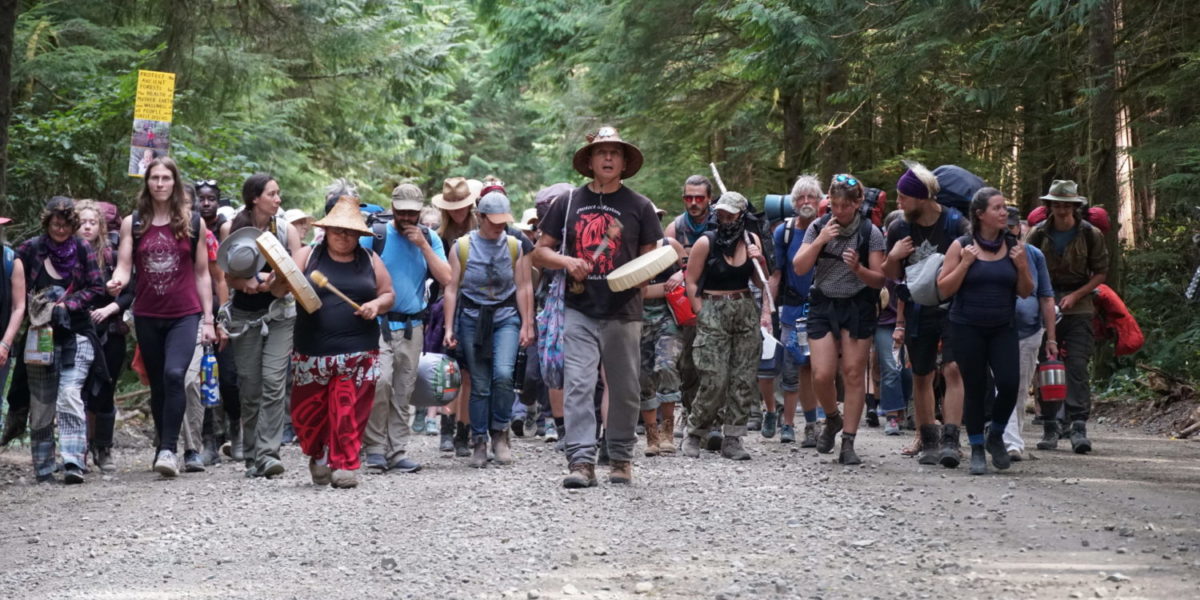 climate defenders marching to protect Fairy Creek's old growth forests in 2020.