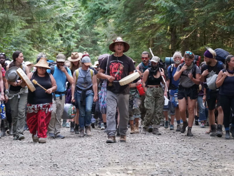 A photo of activists marching to protect Fairy Creek's old growth forests in 2020.
