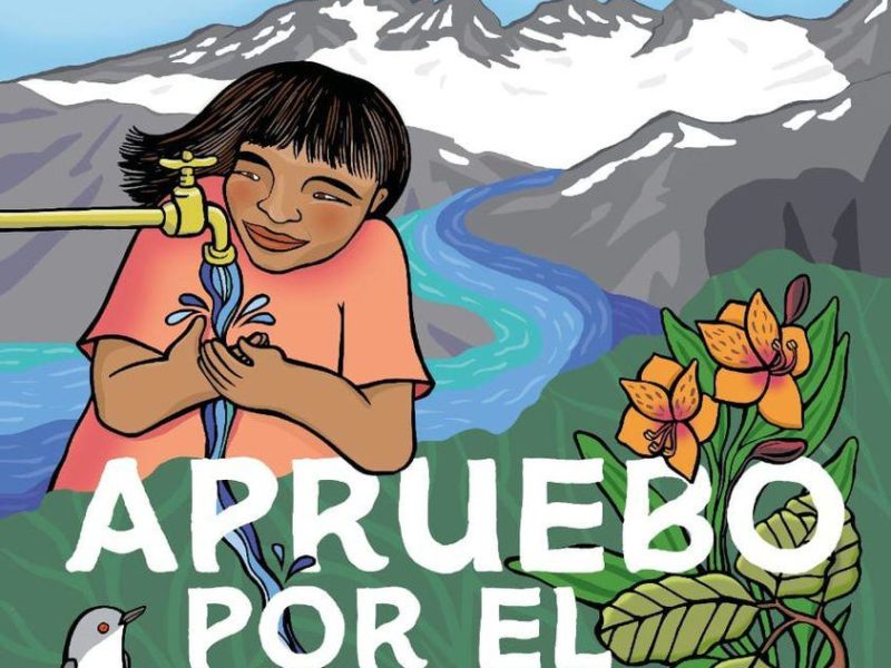 Chilean constitution poster of an illustration of a young girl washing her hands from a tap that becomes a river with mountains in the background and a bird perched on a branch in the foreground with the words Este 4 de Septiembre Apruebo por el agua.