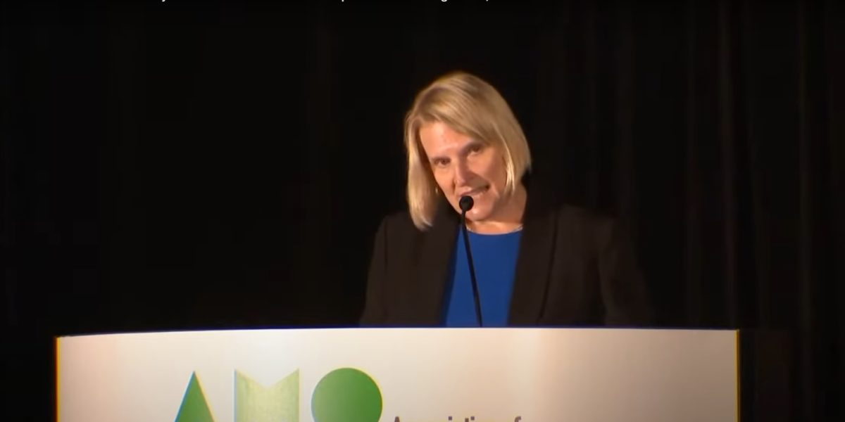 A screenshot Ontario Health Minister Sylvia Jones addressing the Association of Municipalities of Ontario (AMO) on August 17, 2022.