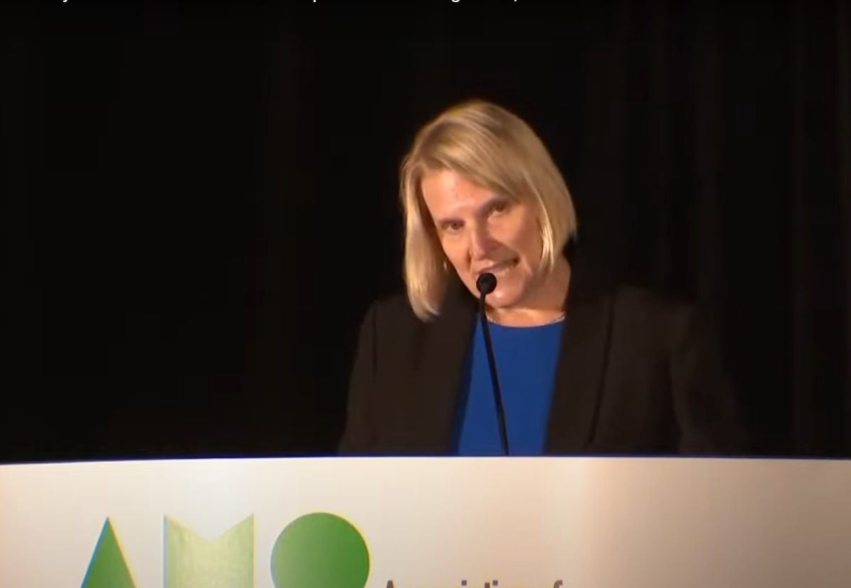 A screenshot Ontario Health Minister Sylvia Jones addressing the Association of Municipalities of Ontario (AMO) on August 17, 2022.