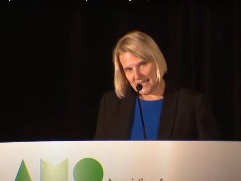 A screenshot Ontario Health Minister Sylvia Jones addressing the Association of Municipalities of Ontario (AMO) on August 17, 2022.