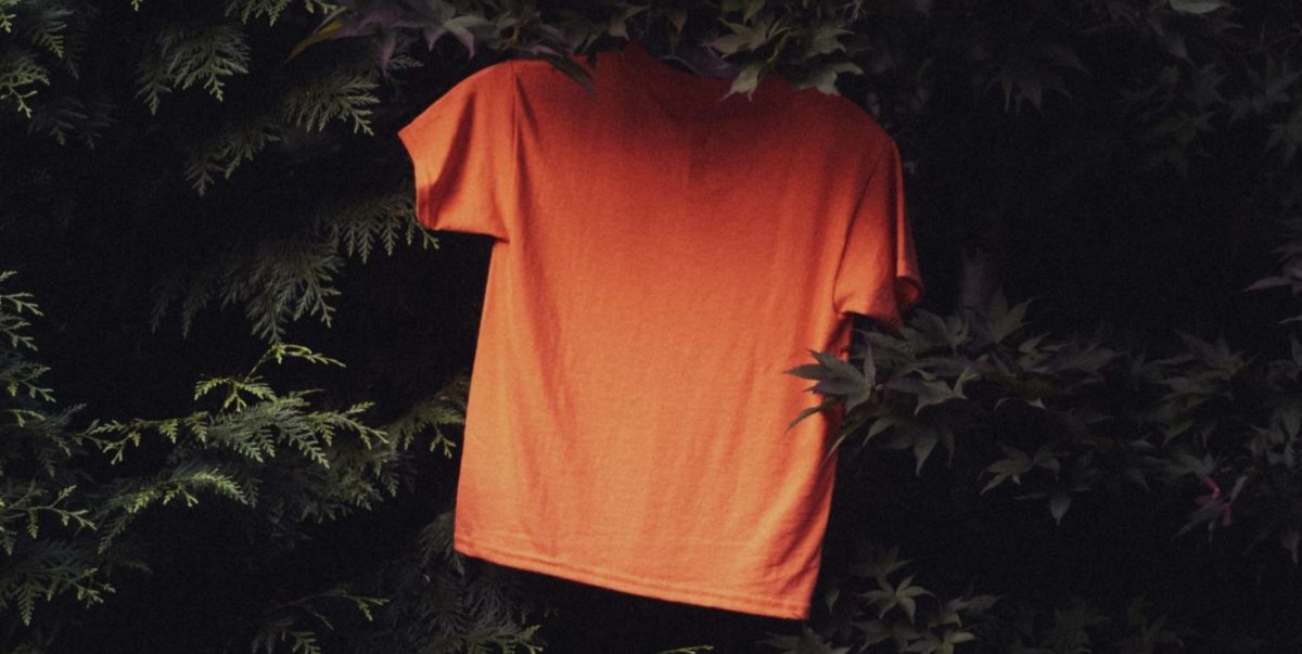 A photo of an orange shirt on a green tree background