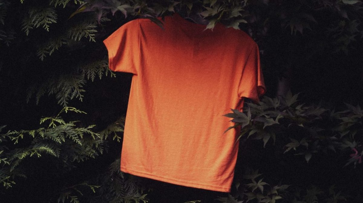 A photo of an orange shirt on a green tree background