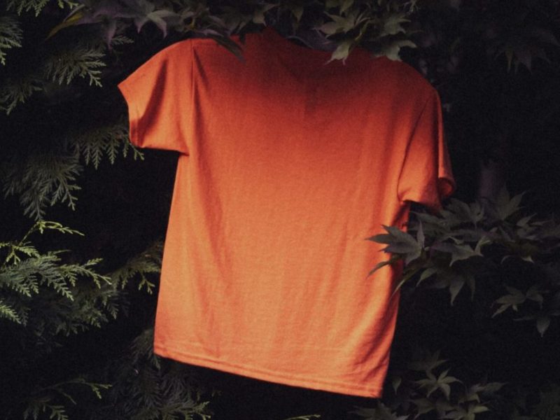 A photo of an orange shirt on a green tree background