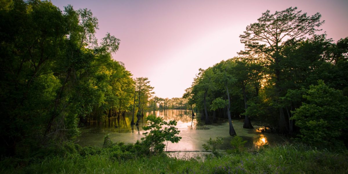 A photo of Mississippi at sunset.