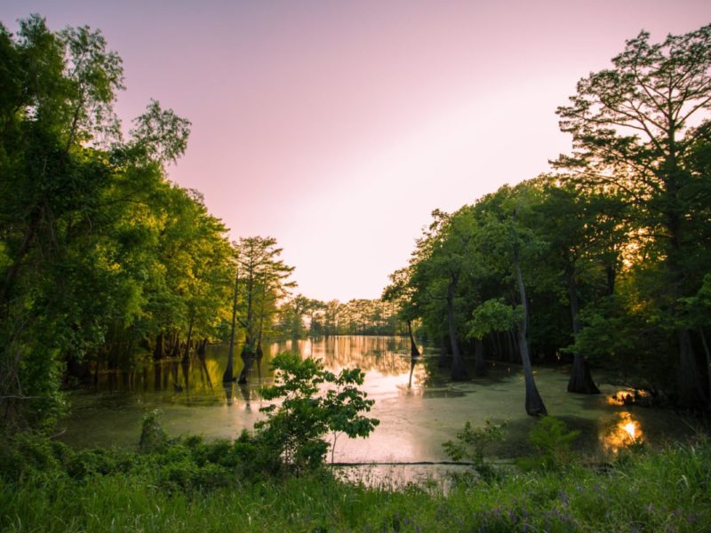 A photo of Mississippi at sunset.